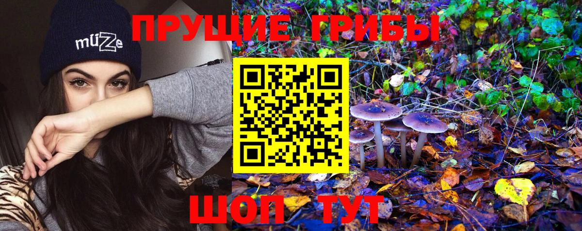 цена наркотик  Галлюциногенные грибы Psilocybine cubensis  Вход с VPN  Карталы 